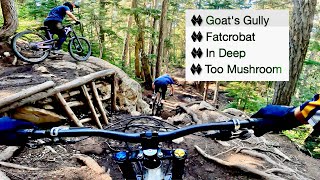 Whistler - The Gnarly Way Down