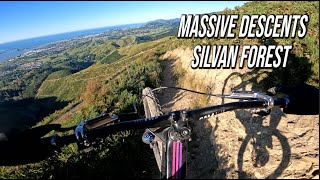 INSANE VIEWS Jericho - Silvan Forest - Nelson...