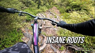 The Most Underrated Trail in Nelson??? -...