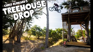 THE TREE HOUSE DROP