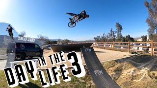THE GREAT LAKE ELSINORE | Day In The Life 3