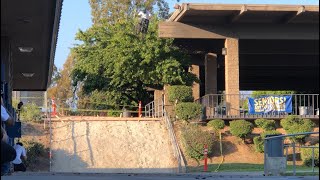DYLAN STARK 2019 MIXTAPE BMX MTB