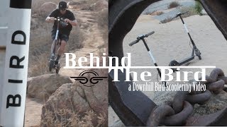 BEHIND THE BIRD | a Downhill E-Scooter Video