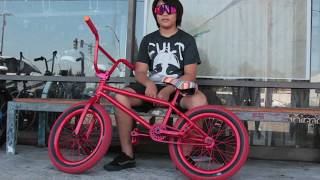 CUSTOM PAINTED 18' CULT HAWK BIKE BUILD MAX VU