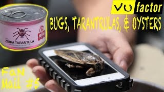 EATING BUGS THE SIZE OF A PHONE! Vu Factor