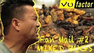 SOMEONE SENT US THIS TO EAT! Vu Factor Mixed Bugs