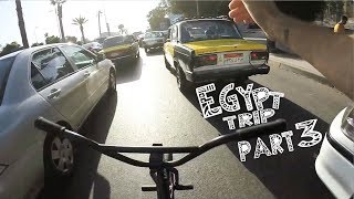 I TAILWHIPPED OVER A HORSE IN ALEXANDRIA EGYPT