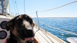 SAILING FOR MY DAD'S BIRTHDAY! ⛵️