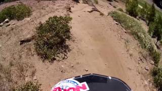 SNOW SUMMIT PRO  MTB DH RACE 2016 DYLAN STARK...