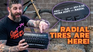 All New Schwalbe Albert Radial MTB Tire -...