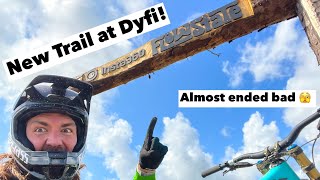 DYFI’s NEW TRAIL! Insta360 FLOWSTATE Line -...