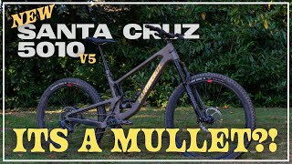 New Santa Cruz 5010... it's a mullet?! - First...