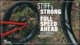 FSA eMTB i29 Carbon Wheels - Dissected -...