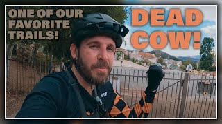 Dead Cow Trail Santa Monica Mountains - Ride...