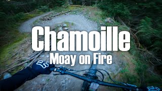 Moay on Fire - Chamoille