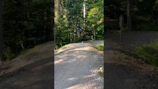 Delirio pazzo in paganella! #mtb #downhill...