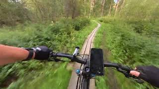 Meeting Water Buffalos and MTB Fun Times in...
