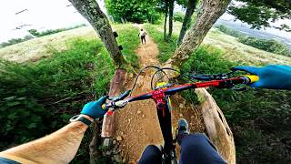 Nobody Talks About This Bike Park But They...