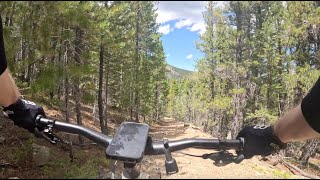 Hicks Mountain - peaceful deep woods workout -...