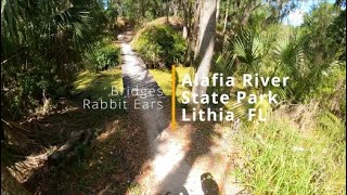 Bridges/Whoops/Rabbit Ears | Alafia River...