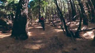 La Palma MTB Torreones