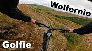 Wolferine - Golfie 2024