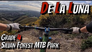 Newest trail at Silvan fully finished -...