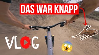 Der 'Da steht ein Reh in der Landung' Vlog |...