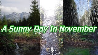 A Little Gravel Trip | Biking Port Alberni