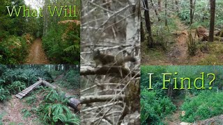 Exploring Old Backroads and Trails | Mountain...