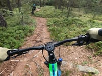 Ulvskollen Downhill