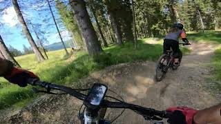 Riding the Proga 8 trail at Bike Park Rogla...