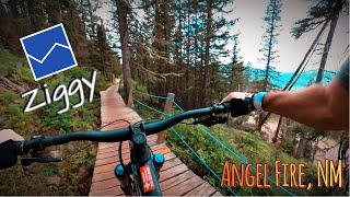 Ziggy - Angel Fire New Mexico