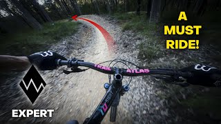 The BIGGEST Jump line at Mogo Trails (For Now)...