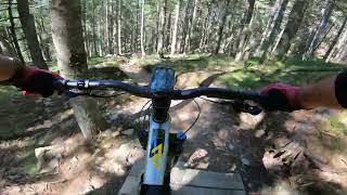 Proga 3 / Trail 3 - Bike Park Rogla