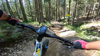 Proga 2 & 4 / Trail 2 & 4 - Bike Park...