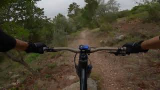 BTT Leiria - Queens Trail