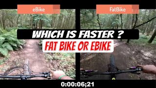 Speed Showdown: Fat Bike Vs. E-bike - Who...