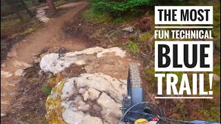 The best blue MTB trail is now open! Riptide...