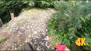 Santelhöchi Trail | hard , muddy , overgrown...