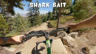 Shark Bait / Sky Tavern Bike Park | Reno, NV / MTB