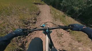 Wildflower into Tank's Track - Brian Head...