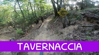 MTB Roveta 17.08.2024 sentiero  TAVERNACCIA -...