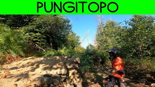 MTB 4 Venti 31.08.2024 sentiero PUNGITOPO