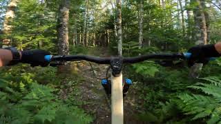 Fast Down - Carmichael Trails