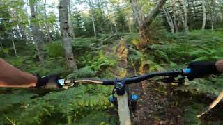 Lean Too Trail - Carmichael Trails