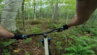 Snake Bite - Carmichael Trails