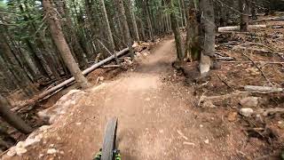 AZ DH MTB : Sunrise Park Resort Flow Aug 2024