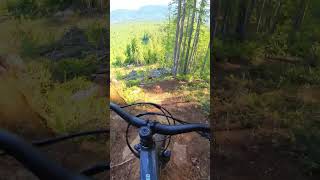 Steep and short shute || Fairservice Fun#mtb...