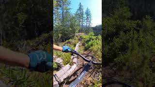 Sick slab on Upper Steam Donkey|| Fairservice...